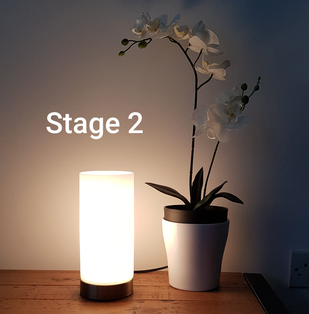 KLiving Lonsdale Small Frosted Glass Cylinder Table Lamp