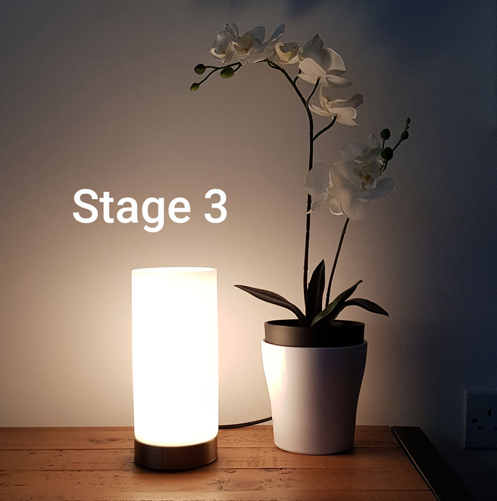 KLiving Lonsdale Small Frosted Glass Cylinder Table Lamp