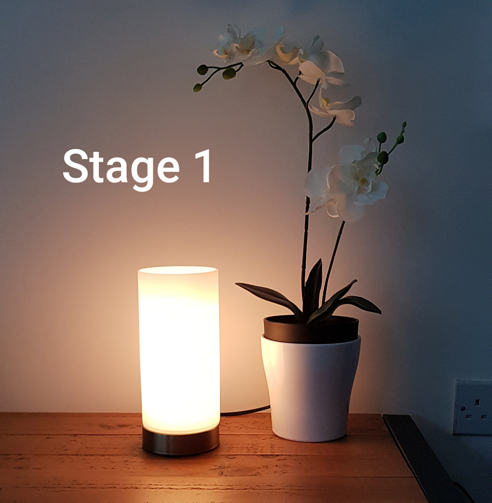 KLiving Lonsdale Small Frosted Glass Cylinder Table Lamp