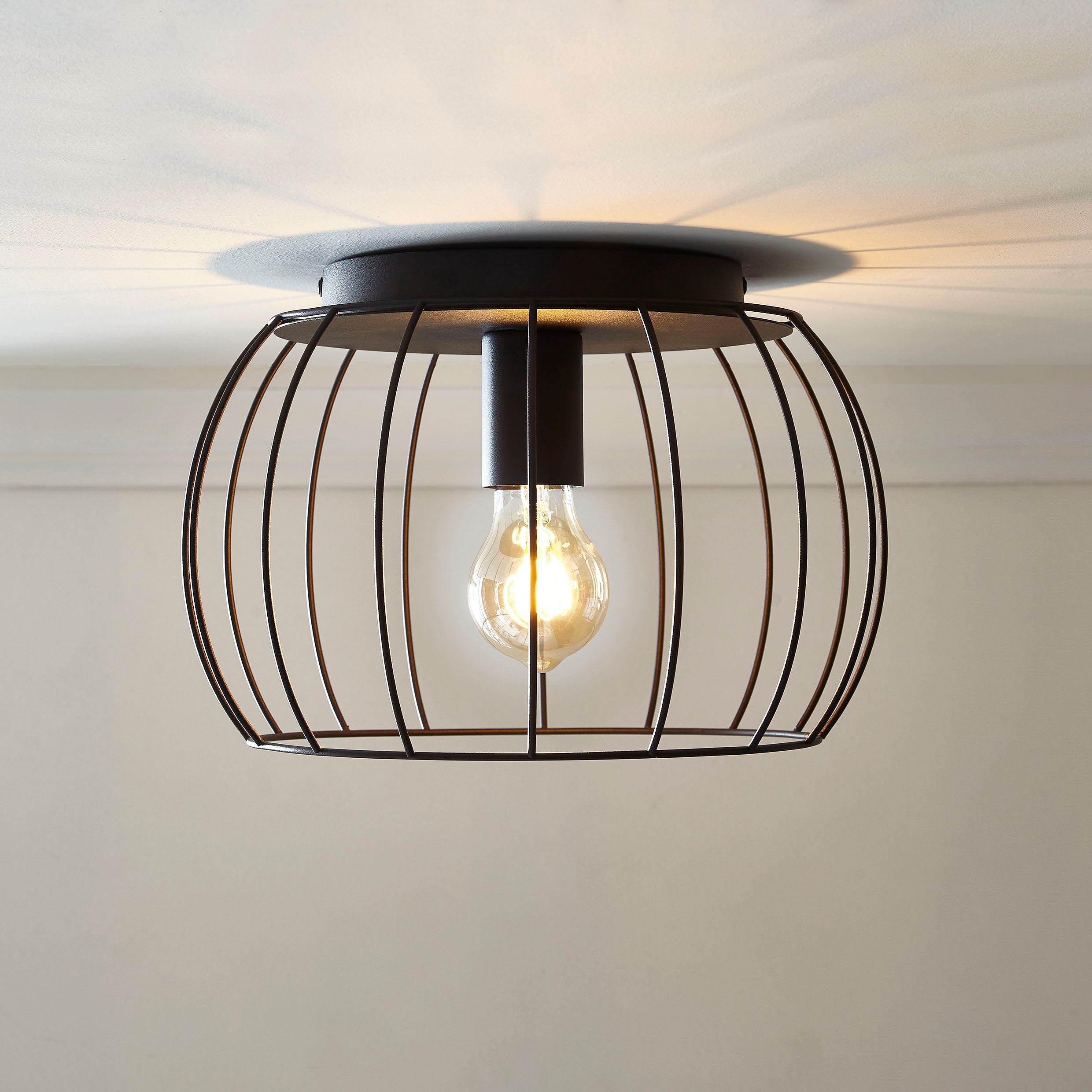 Black Ceiling Light Fitting in Cage Style Industrial Look